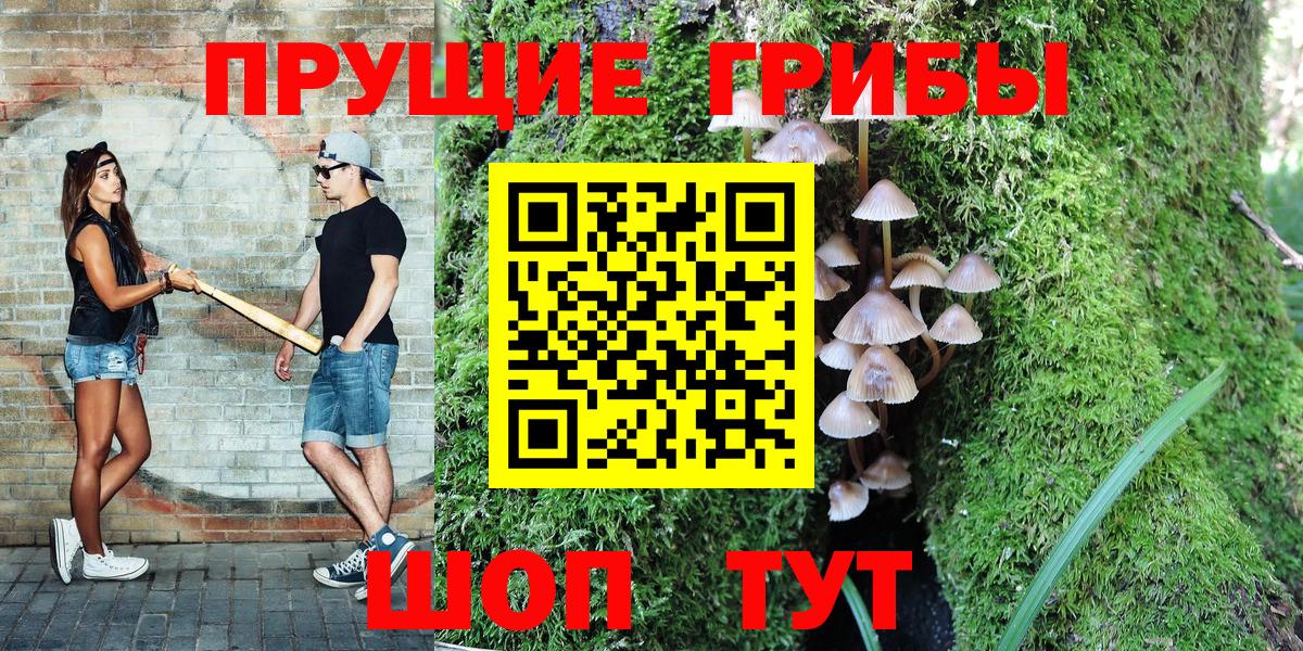 закладки  Вход с VPN  Нововоронеж  Псилоцибиновые грибы Psilocybe 